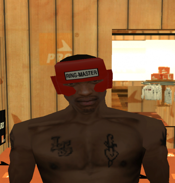 Datei:PROlaps Helm 1.png