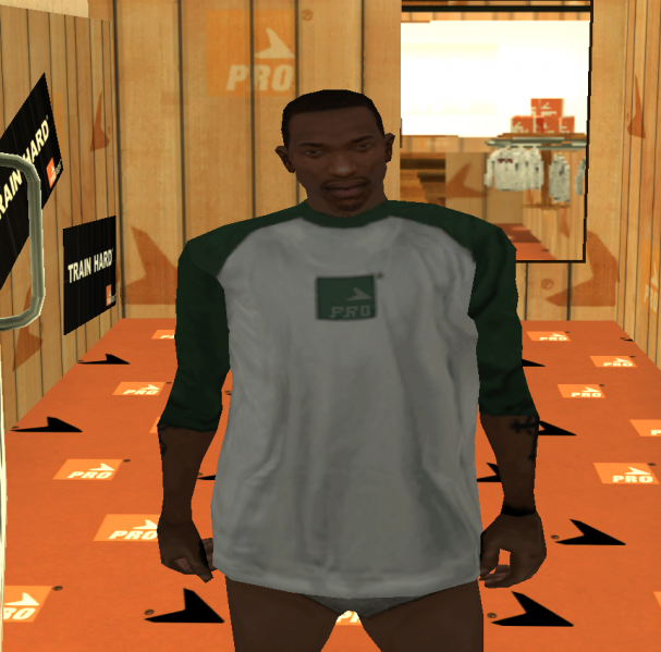 Datei:PROlaps Shirt 4.png