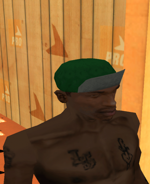 Datei:PROlaps Cap 5.png