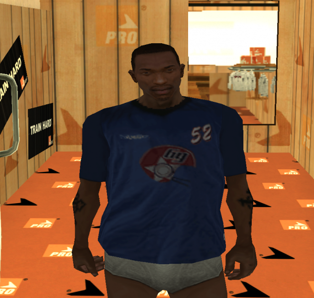 Datei:PROlaps Shirt 2.png