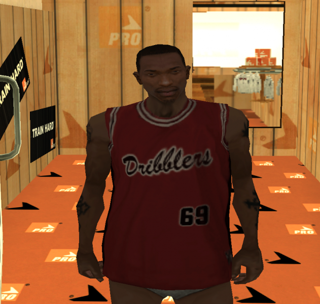 Datei:PROlaps Shirt 1.png