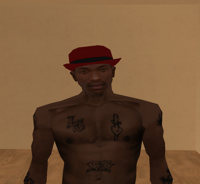 Datei:Didersachs Hut 3.png